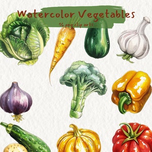 Clipart imprimable aquarelle de légumes, format png, fond transparent, téléchargement immédiat, usage commercial, 300 dpi
