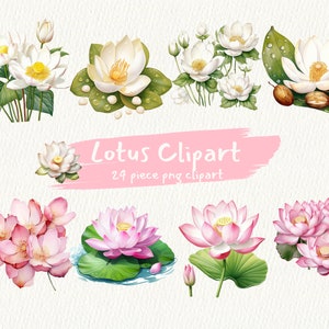 Paquete de imágenes prediseñadas imprimibles digitales Life of Lotus en formato PNG descarga instantánea transparente para uso comercial, fabricación de tarjetas