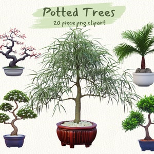 Op de afbeelding: Een verzameling gepotte bomen, waaronder een palmboom, een bonsai met roze bloemen, een bonsai met witte bloemen en een grote groene boom met een bruine pot.  Potted Trees 20 piece png clipart