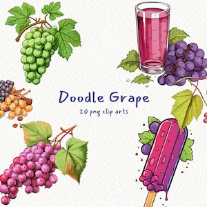 Doodle Grape digital printable clipart bundle in PNG format transparent background instant download for commercial use