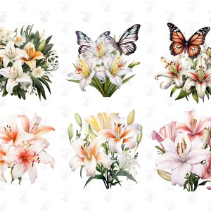 Life of Lily Digital Printable Clipart Bundle in PNG Format Transparent