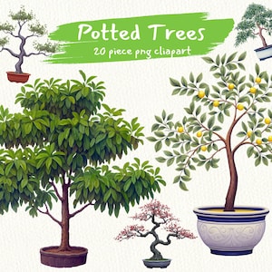 Arbres en pot, bonsaï, images clipart numériques au format PNG téléchargement instantané transparent pour un usage commercial, agenda numérique, journal indésirable