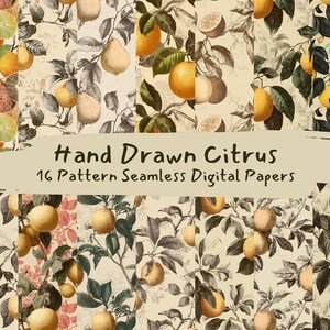 Op de afbeelding: Een verzameling van 16 naadloze digitale papieren met een handgetekend citrus thema. De papieren bevatten illustraties van citroenen, sinaasappels en andere citrusvruchten met groene bladeren op een crèmekleurige achtergrond. De tekst "Hand Drawn Citrus" en "16 Pattern Seamless Digital Papers" wordt weergegeven.