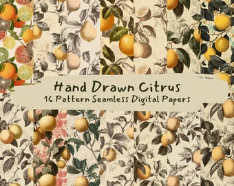 Hand Drawn Citrus Pattern Seamless Digital Papers - printable scrapbook paper png instant download commercial use 300dpi