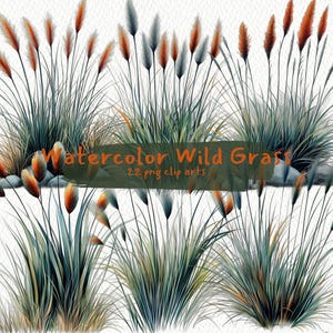 Watercolor Wild Grass printable clipart, png format, transparent background, instant download, commercial use, 300dpi