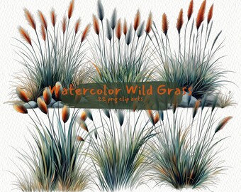 Watercolor Wild Grass printable clipart, png format, transparent background, instant download, commercial use, 300dpi