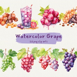 Watercolor Grape, digital printable clip art graphics in PNG format transparent instant download for commercial use
