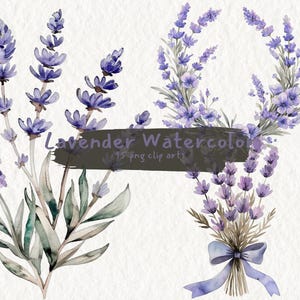 Lavendel aquarel afdrukbare clipart, png-formaat, transparante achtergrond, instant download, commercieel gebruik, 300 dpi