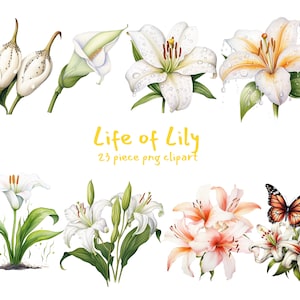 Life of Lily Digital Printable Clipart Bundle in PNG Format Transparent