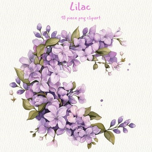 Life of Lilac, digital printable clip art graphics in PNG format transparent instant download for commercial use, Flower, Purple, Invitation