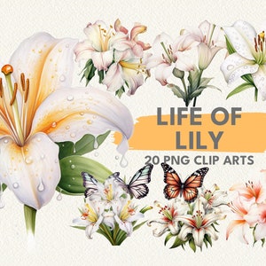 Life of Lily Digital Printable Clipart Bundle in PNG Format Transparent