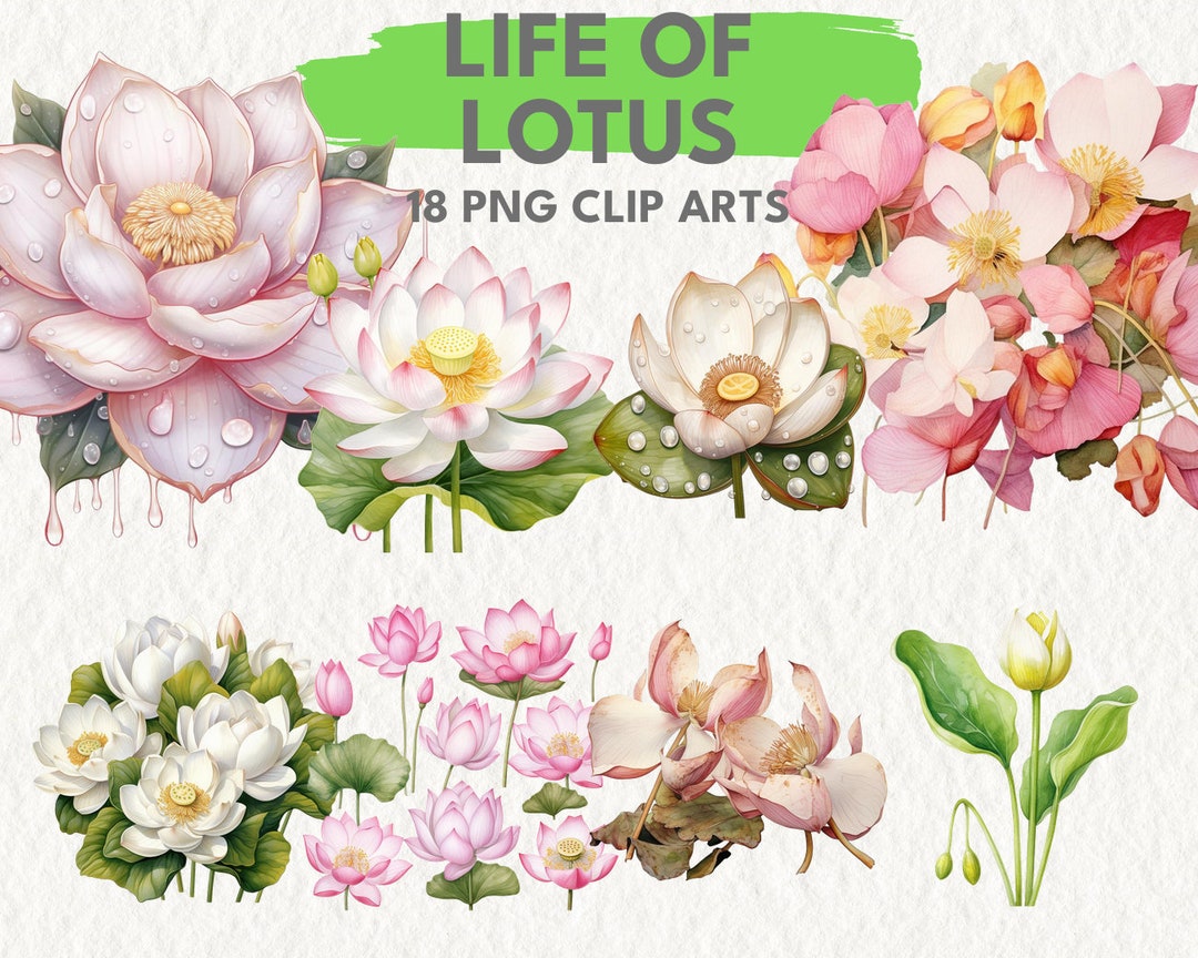 Life of Lotus, Digital Printable Clip Art Graphics in PNG Format ...