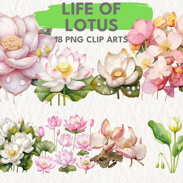 Life of Lotus digital printable clipart bundle in PNG format transparent instant download for commercial use