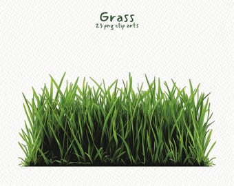 Grass printable clipart, png format, transparent background, instant download, commercial use, 300dpi, designer's choice, high quality