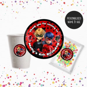 Grand pack de décoration d'anniversaire Ladybug Miraculous