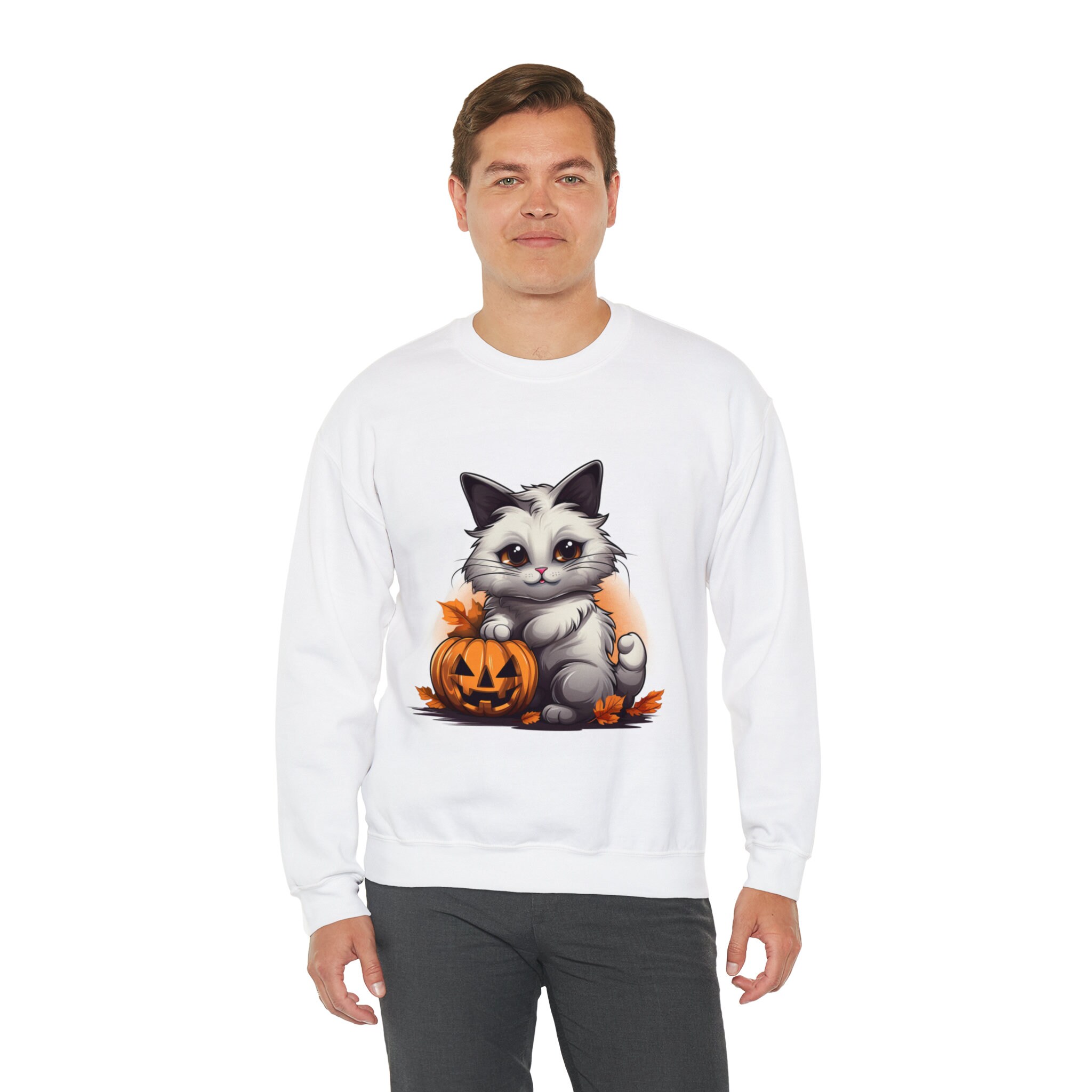 Discover Halloween | White | Sweatshirts | Halloween Cat | Ragdoll | Fall | Pumpkin Cat | Black Sweatshirts | Men | Women | Orange |