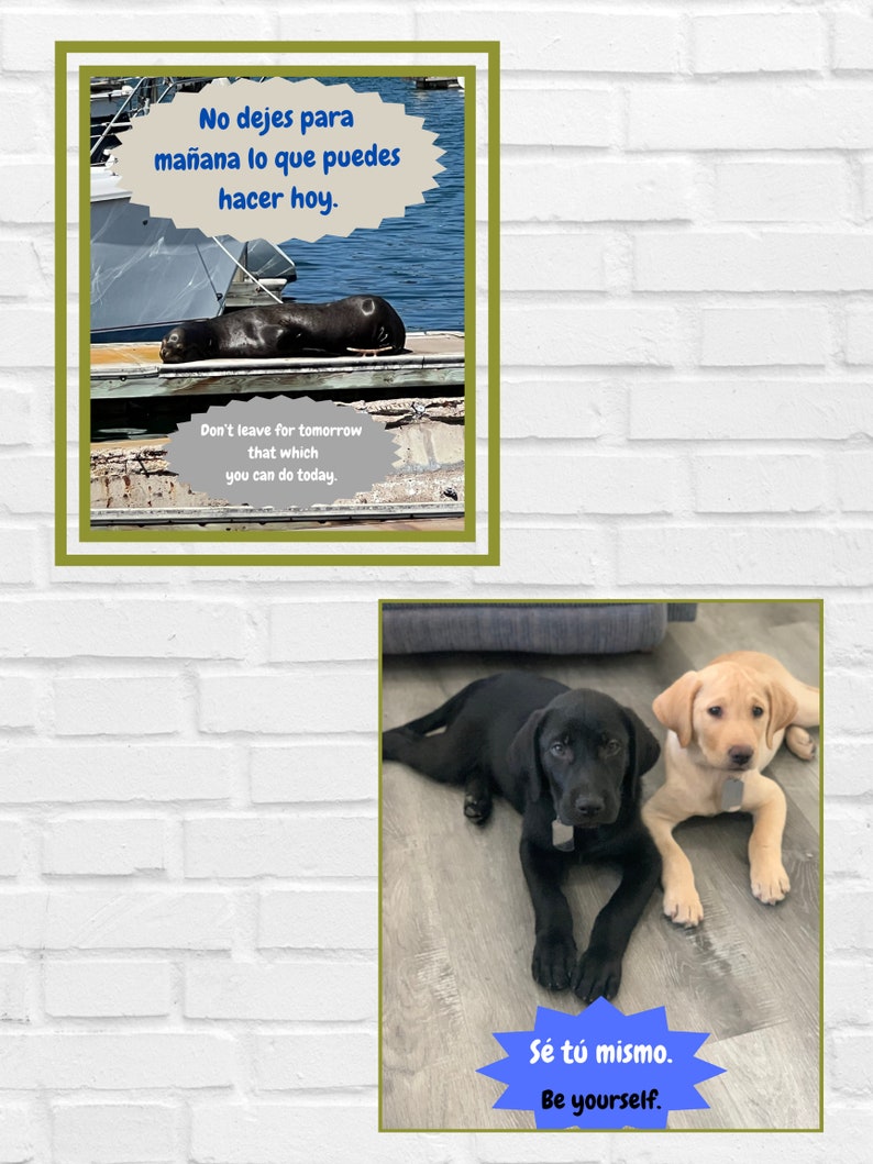 10 Bilingual Motivational Posters - Etsy