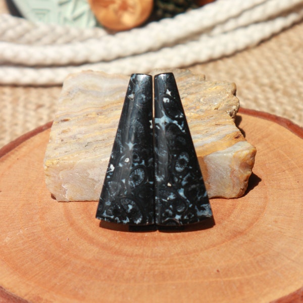 Palm Root Eyes Pair / Petrified Wood Pair / Gemstone from Indonesia / Black Pair / Earring Material