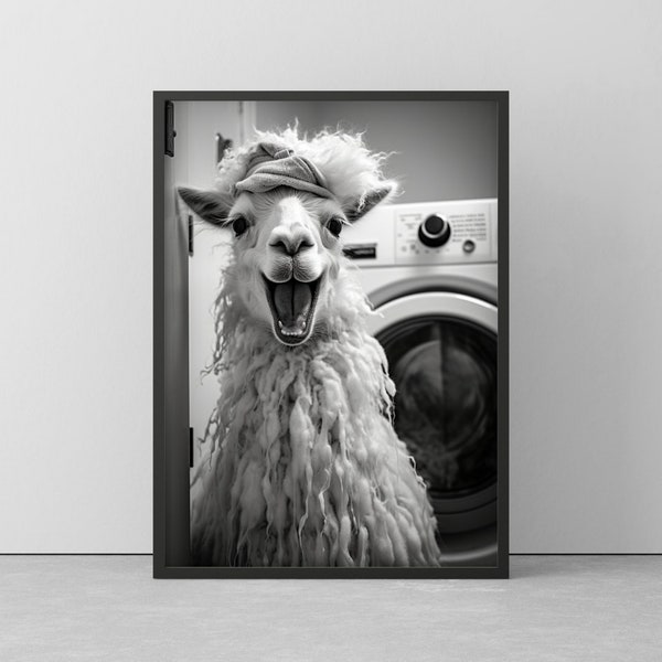 POSTER of ALPACA in the laundry room - FUNNY wall picture in black/white - animal poster framed - gift or decoration