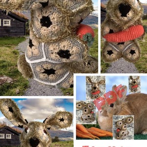 May include: A crochet rabbit toy constructed from beige and grey hexagonal motifs with black centers, featuring long textured ears and holding a bright orange carrot. The design includes white stitching between the hexagons and a fuzzy yarn texture.