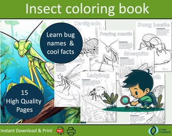 Toddler busy book ebook coloring pages insect learning for kids educational prints garden bugs for homeschooling