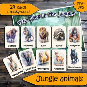 Tarjetas educativas de vocabulario Montessori y Waldorf Animales de la selva, juego de 24 tarjetas imprimibles más fondo para juegos para educación en el hogar
