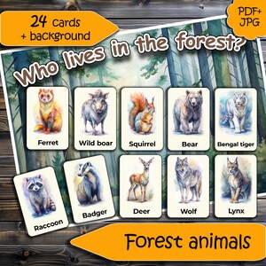 Tarjetas educativas de vocabulario Montessori y Waldorf con descarga digital de animales del bosque, juego de 24 tarjetas imprimibles más fondo para juegos