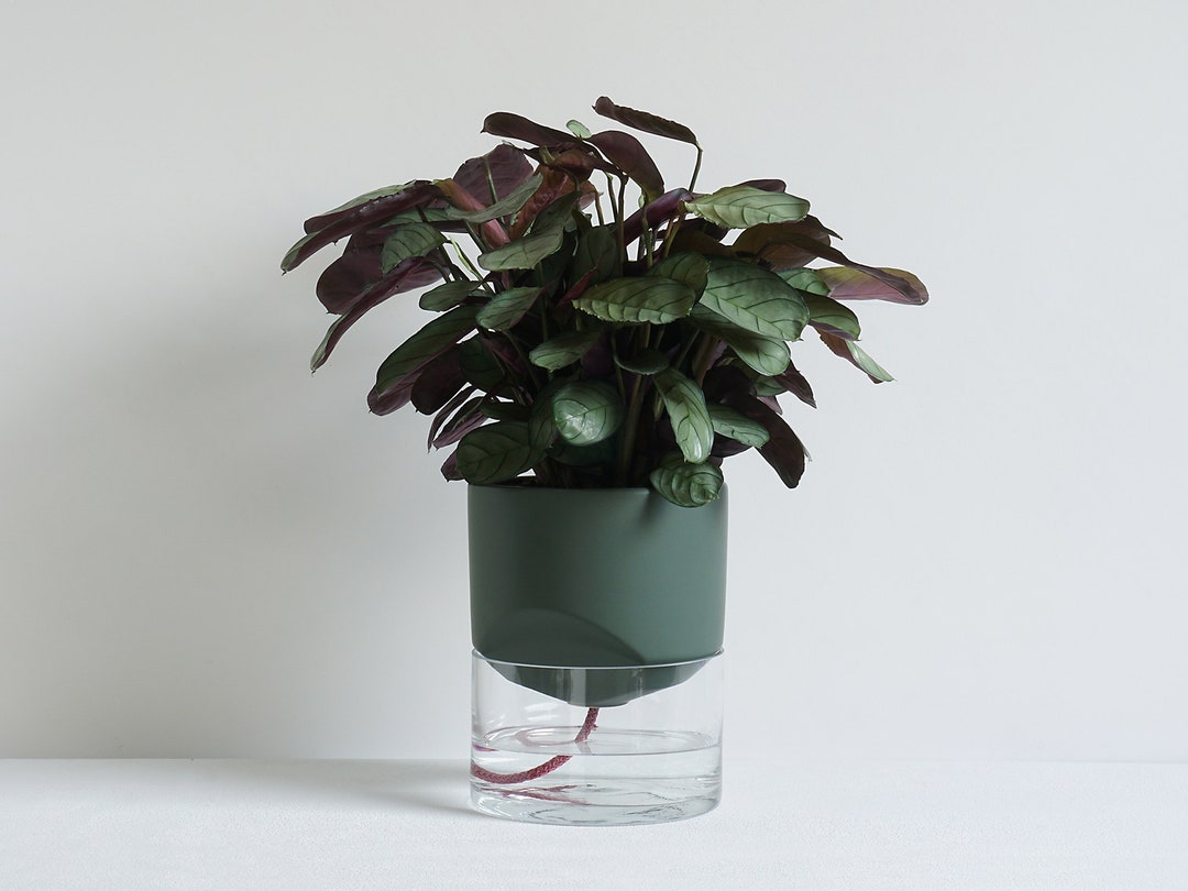 Kapi Big | Green - Etsy