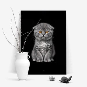 Katze - Jungtier Poster | Süßes Katzenposter – Graues Kätzchen Wandbild, Moderne Tierfotografie, Dekoration für Kinderzimmer und Zuhause