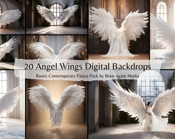 20 x Rústico Palacio Contemporáneo Angel Wings Fondos Digitales, Telón de Fondo Digital para Fotografía, Telones de Fondo de Estudio, Telón de Fondo de Maternidad