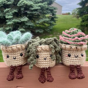 Modèle au crochet succulent