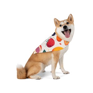 Fruity Pet Bandana, Cute Dog Bandana, Summer Pet Accessory, Dog Fashion, Pet Gift, Holiday Pet Outfit, Fruit Pattern