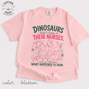 Funny Nurse Shirt Gift for RN, Pediatric Nurse Tee, NICU Nurse Shirt, Nurse Week Gift, Registered Nurse Comfort Colors Dinosaur Shirt CNA image 15