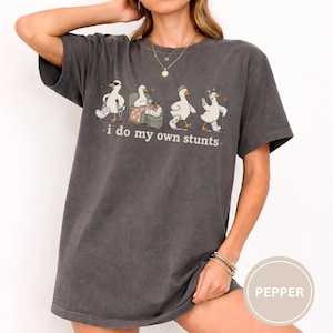 May include: Dark gray t-shirt featuring a whimsical design of four cartoon geese in various poses, some with bandages and crutches. The text "i do my own stunts" is printed below the geese. The shirt has a relaxed fit.