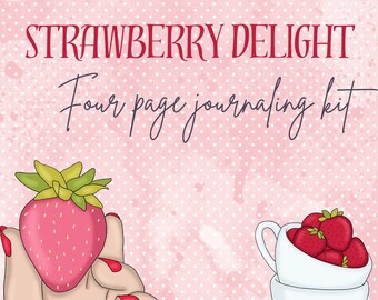 Strawberry Delight/Journaling Kit/ Planner Stickers