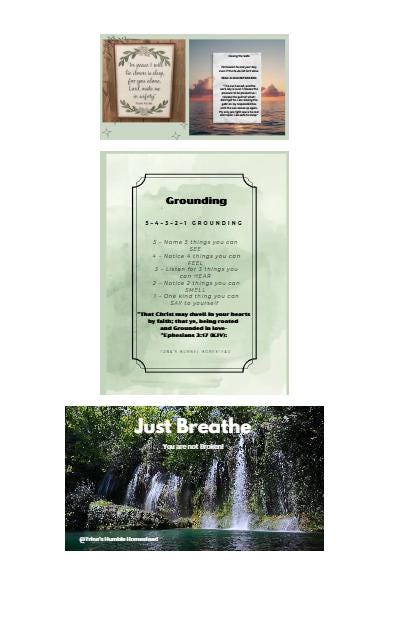 Nervous System Safety Starter Bundle | Trauma-informed Calm Kit ...
