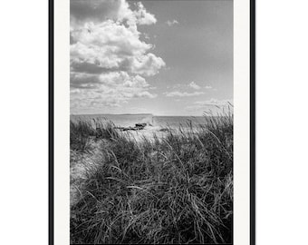 May include: A black and white photograph of a beach scene with tall grass in the foreground and a cloudy sky in the background.