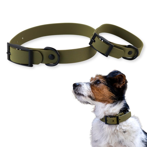 Premium Hundehalsband (oliv) für kleine und große Hunde - verstellbar, wasserabweisend, leicht, robust