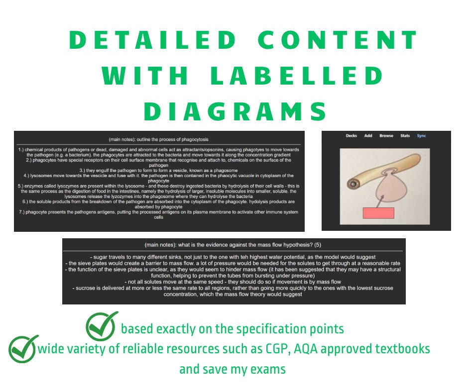AQA A Level Biology Anki Flashcards (year 1 Only) - From an A* Student ...