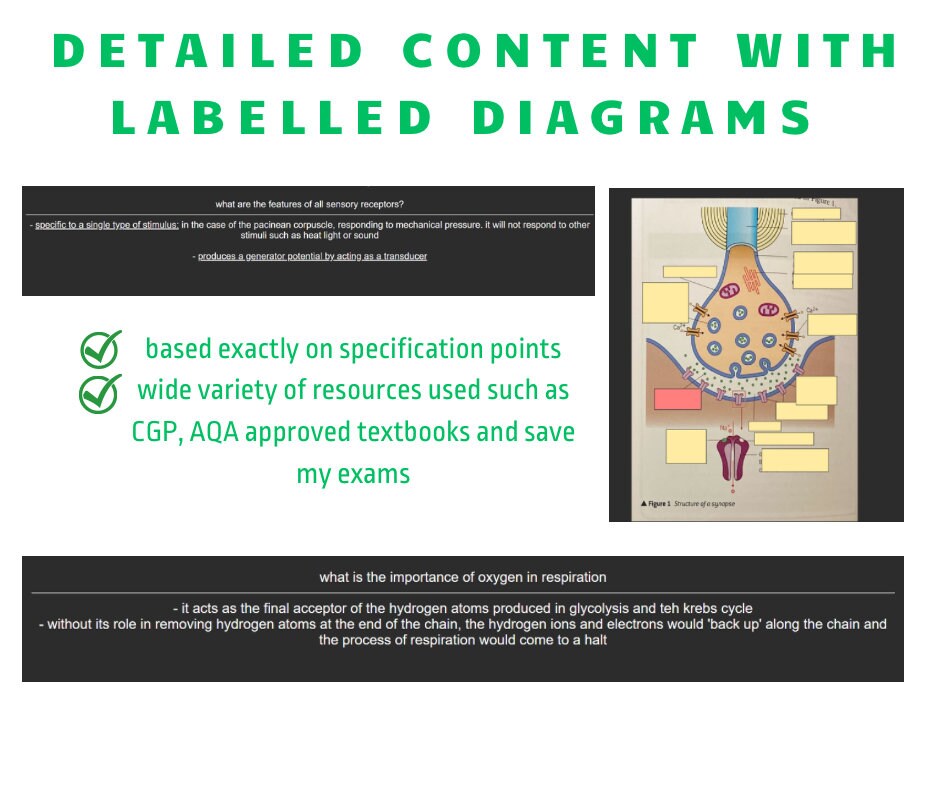 AQA A Level Biology Anki Flashcards (year 2 Only) - Including Essay ...