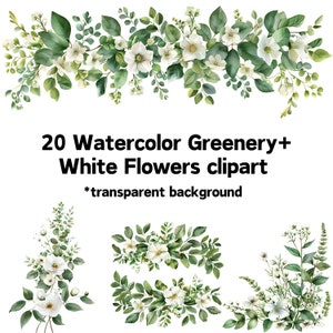 Aquarell Foliage Bundle, weiße Blumen mit viel Grün, Hochzeitsdeko ClipArt, Salbei Weiß Floral Art für Einladungskarten, ComercialUse Free