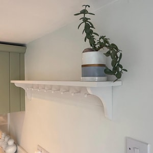 May include: White shelf with hooks attached to a light green wall. A potted plant with green leaves is on the shelf. The pot is white with a brown and blue stripe.