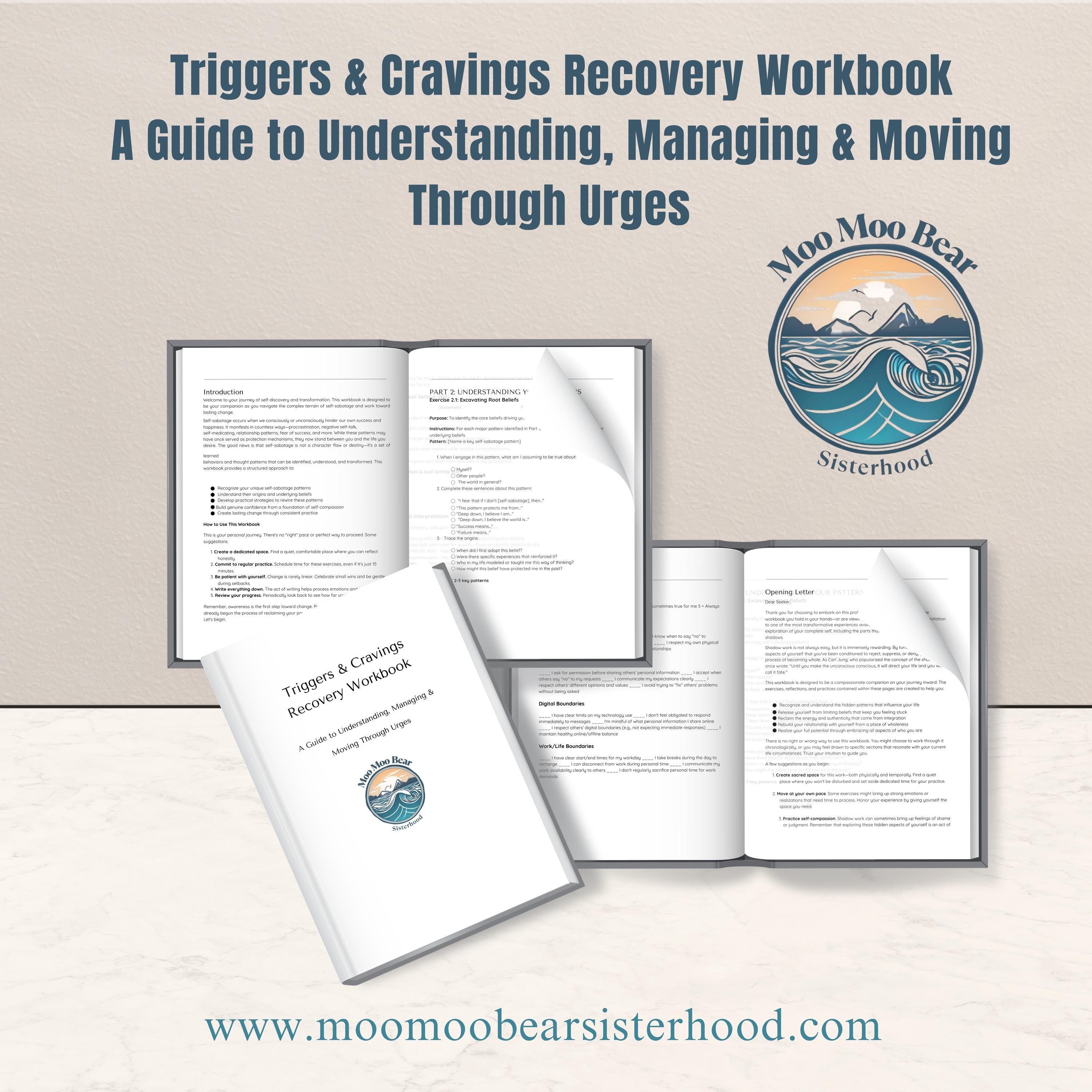 Addictions Recovery Folder Addiction Recovery Workbook: Triggers & Cravings Guide (digital ...