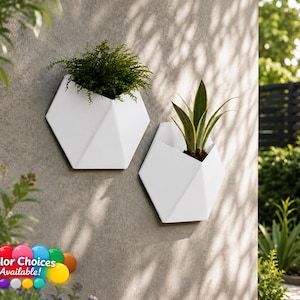 May include: Two white geometric wall planters with a faceted design. One planter holds a lush green fern, while the other contains a pointed succulent plant. The planters are mounted on a textured wall surface, and a colour palette graphic is visible.