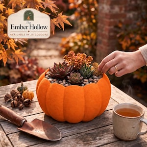 May include: A bright orange pumpkin-shaped planter filled with various succulents and small stones. The planter features a textured surface and is positioned on a wooden surface alongside a metal trowel and a ceramic mug of tea.