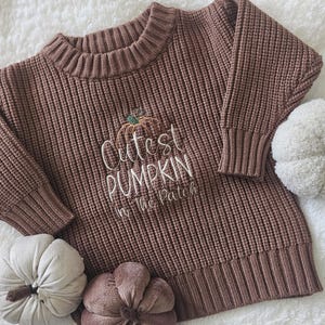 Könnte beinhalten: Brauner Strickpullover mit dem gestickten Text "Cutest Pumpkin in The Patch" und einer Kürbisgrafik. Dekorative Plüschkürbisse in Weiß und Braun umgeben den Pullover.