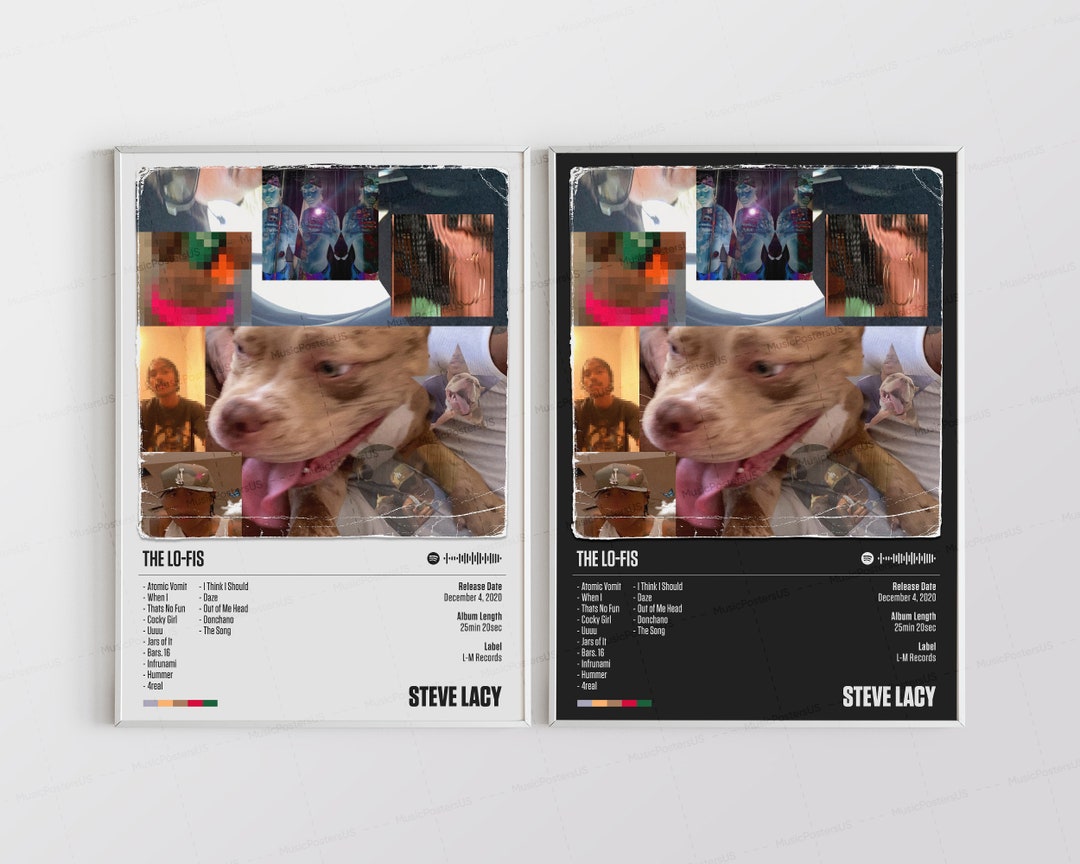 steve-lacy-posters-the-lo-fis-poster-tracklist-album-cover-etsy
