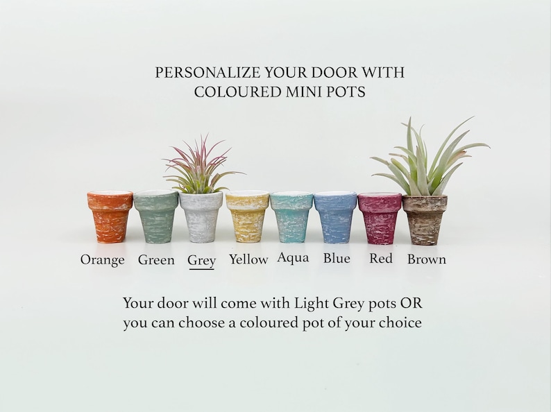 Pu&ograve; includere: Otto piccoli vasi colorati, ognuno con una pianta. I colori includono arancione, verde, grigio, giallo, acqua, blu, rosso e marrone. Il testo recita: "PERSONALIZZA LA TUA PORTA CON MINI VASI COLORATI."