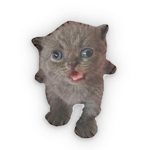Goofy cat shaped pillow, Custom Shaped Pillows, cat shaped pillow, derpy cat, derpy shaped cat pillow, cute cat shaped pillow, cute pillow