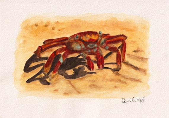 A watercolor painting of a red crab with blue-tinted joints on a sandy beige surface. The crab is depicted with its legs spread out, casting a dark shadow on the ground. The artist's signature, Camila M A, is visible in the bottom right corner.